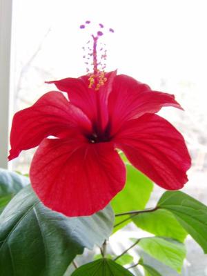 Прикрепленное изображение: P1110041.JPG